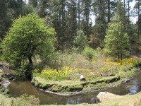 /album/fotogaleria-valle-de-bravo/valle-de-bravo-mexico-9-jpg/